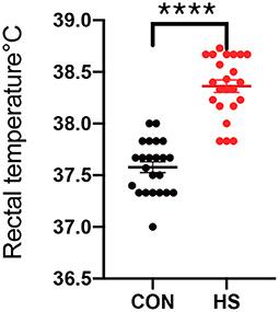 Negative effects of heat stress on ovarian tissue in female rabbit